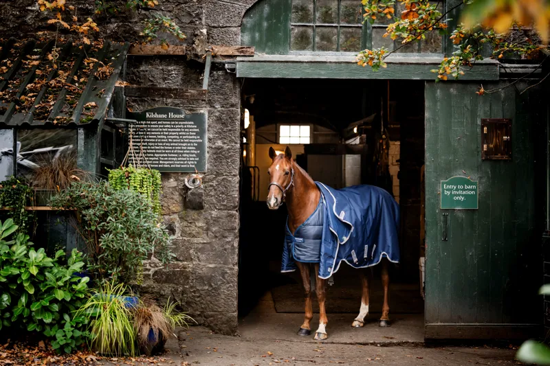 Horseware 50g Rug Liner Navy-3