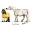 Horse Whisperer - Alex Underdown Greeting Card