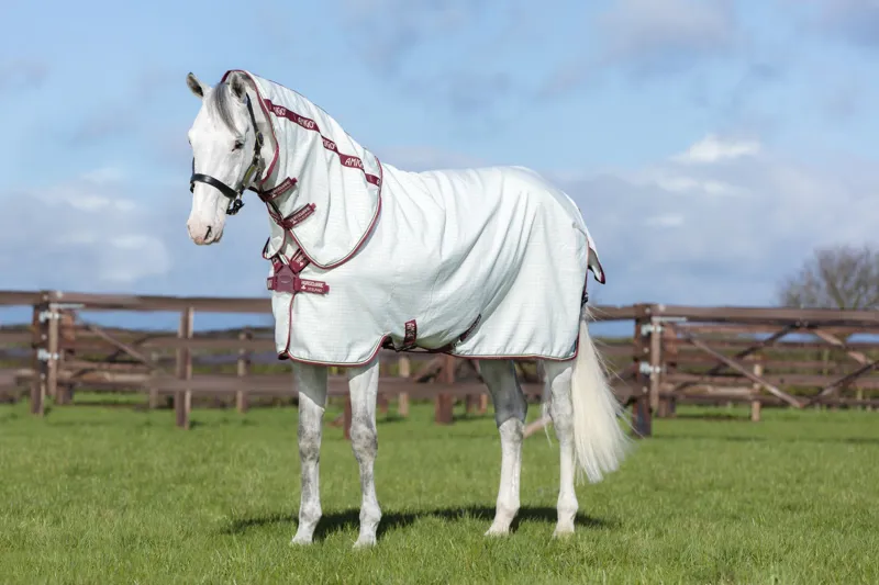 Amigo Aussie All Rounder Disc Front White/Green/Burgandy