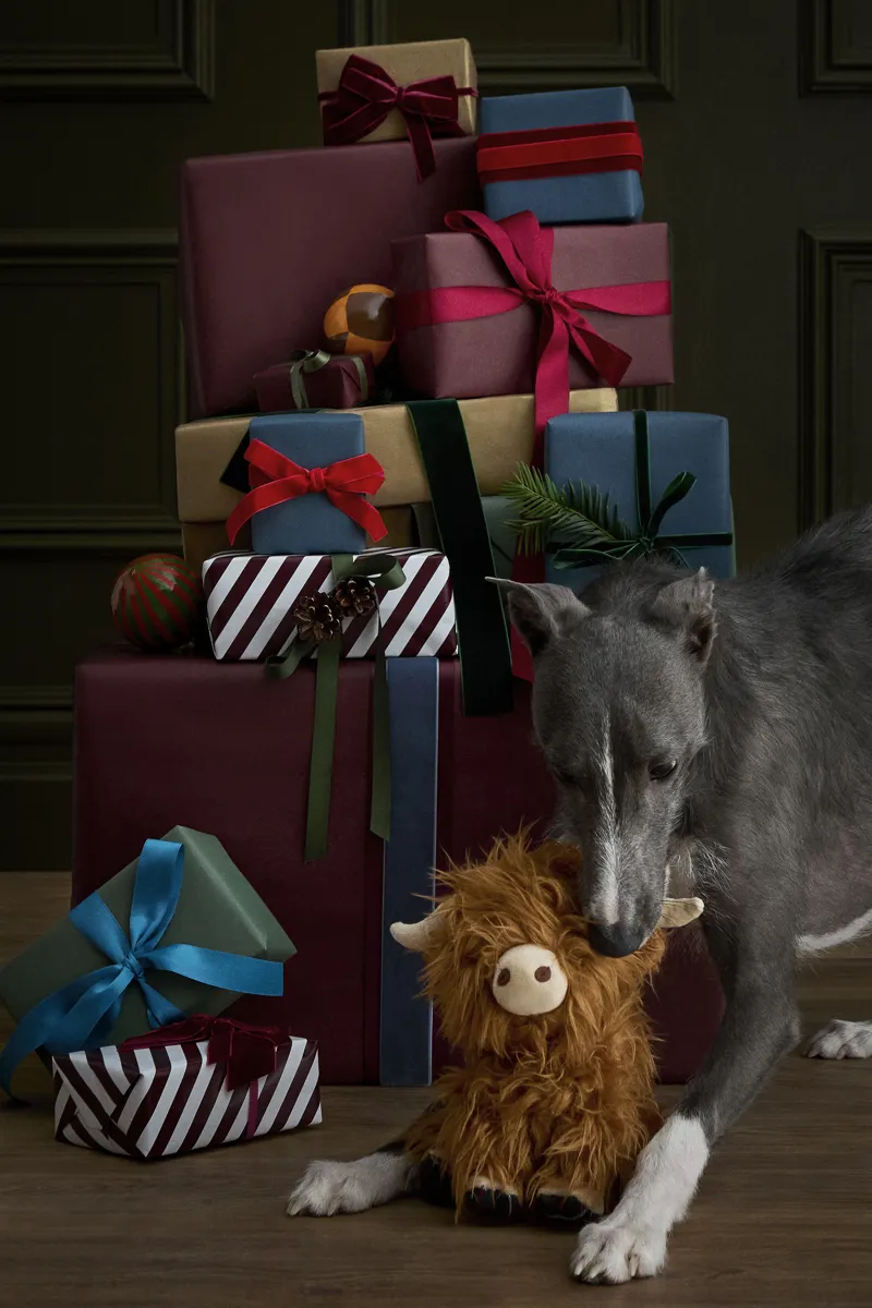 Barbour Highland Cow Dog Toy-1