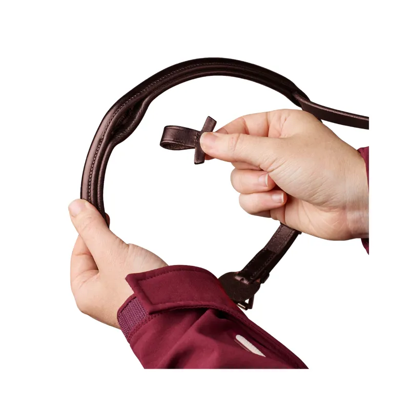 Arena Classic Bridle Brown-3