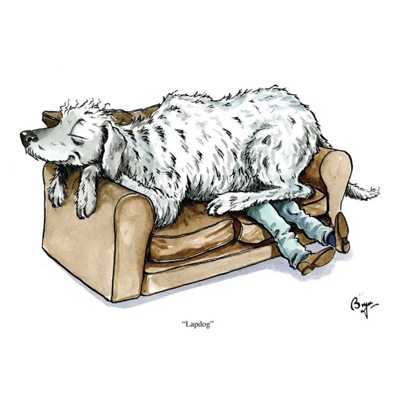 Lapdog Greeting Card - Bryn Parry