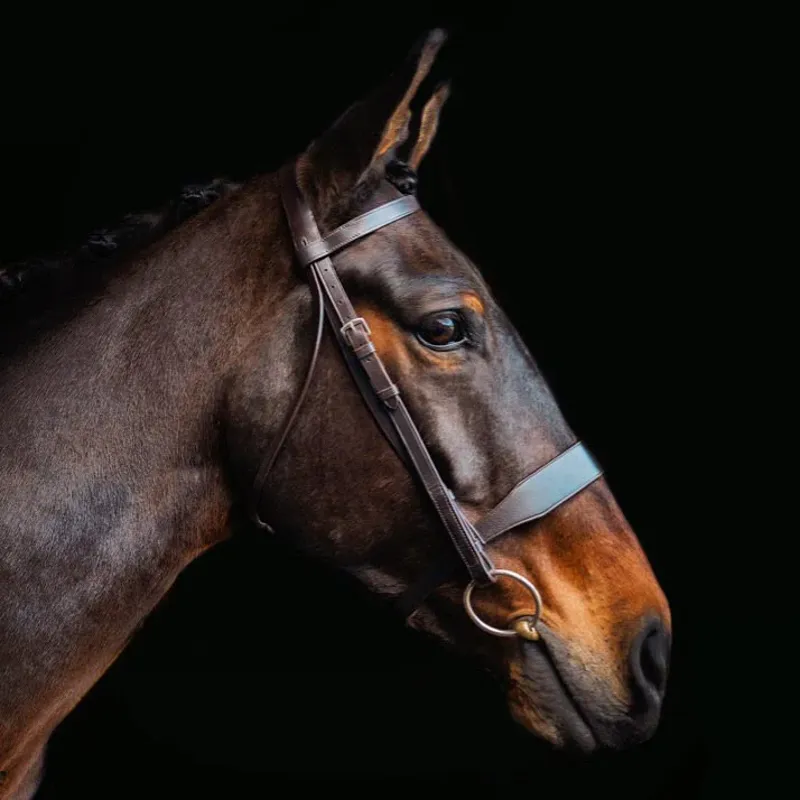 Cameo Classic Hunt Bridle 2 Browbands Black-2