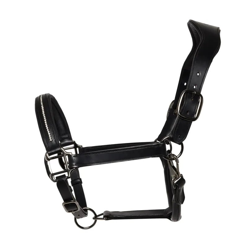 Cameo Competition Headcollar And Lasso Rope Black