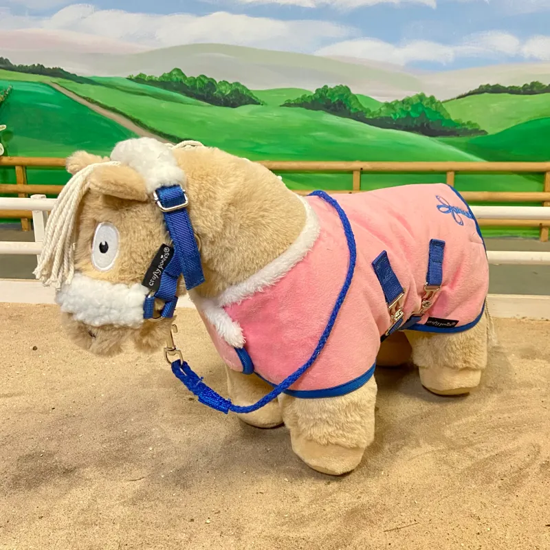 Crafty Ponies Deluxe Show Rug Set Pink