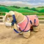 Crafty Ponies Deluxe Show Rug Set Pink