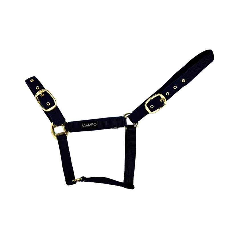 Cameo Suede Padded Headcollar Black