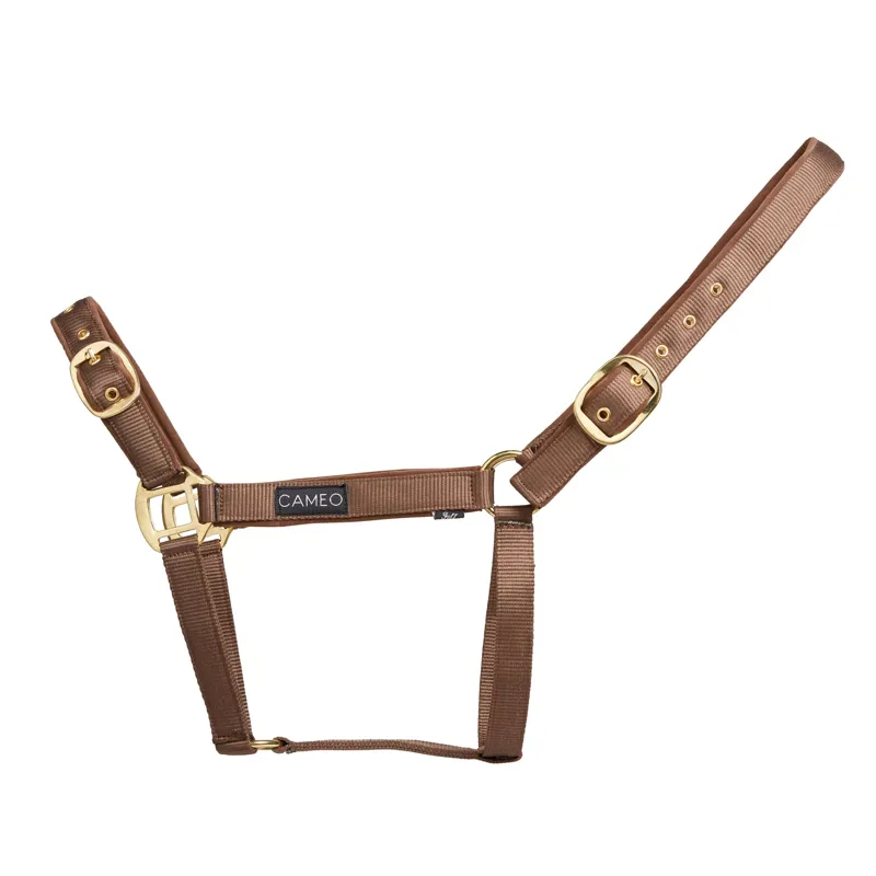 Cameo Suede Padded Head Collar Mocha