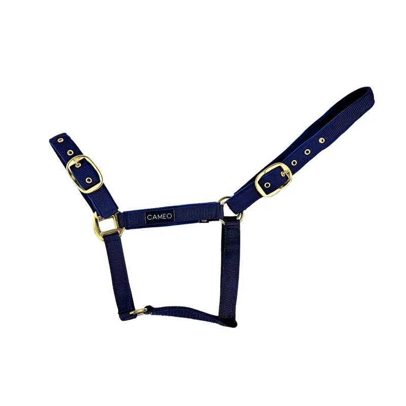 Cameo Padded Suede Headcollar Blue-1