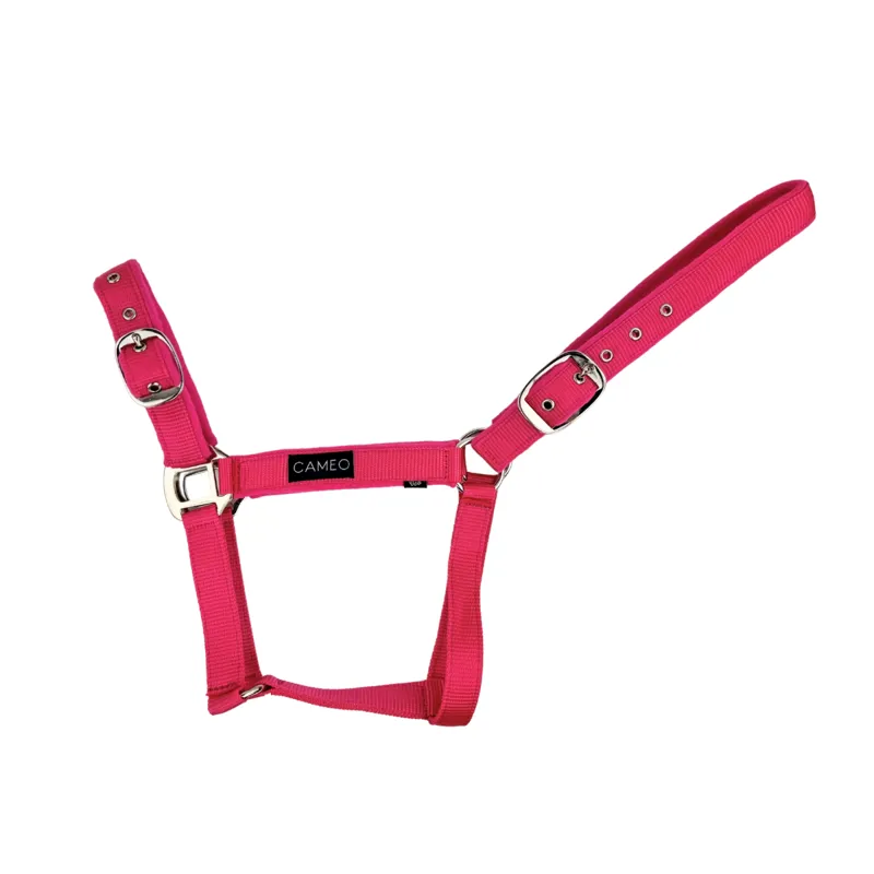 Cameo Suede Padded Headcollar Pink