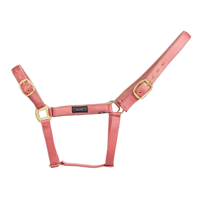 Cameo Suede Padded Head Collar Dusky Pink