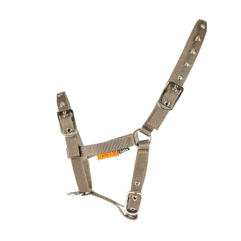 Cameo Foal Headcollar Mocha