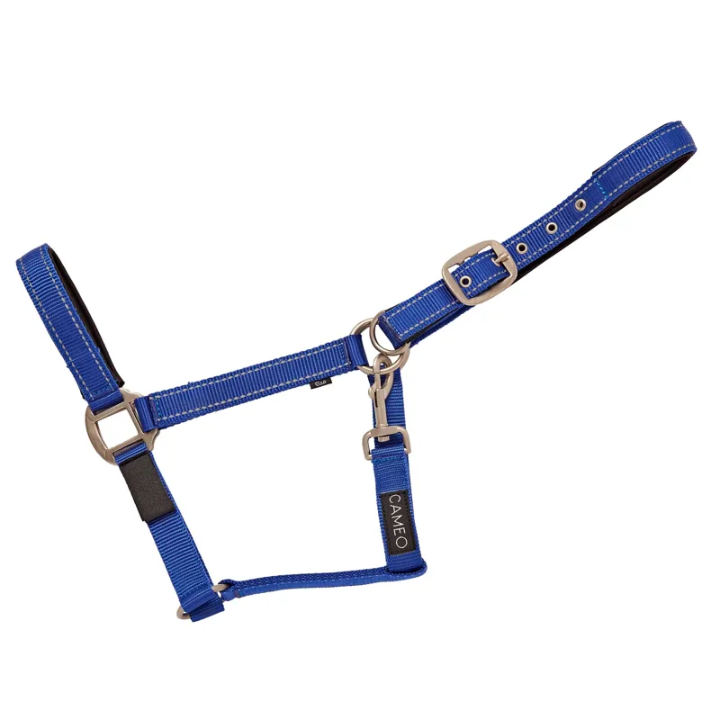 Cameo Fieldsafe Headcollar Royal/Reflective