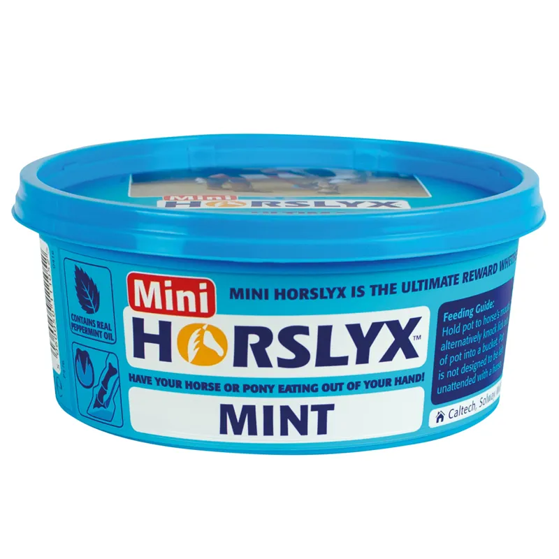 Horslyx Mini 600g Mint