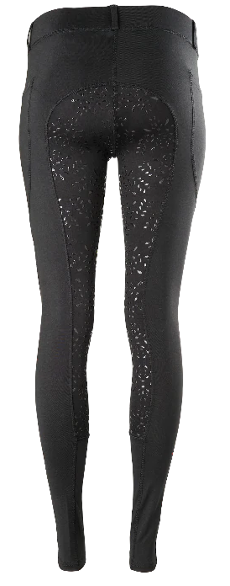 Legacy Ladies Riding Tights Olive-4