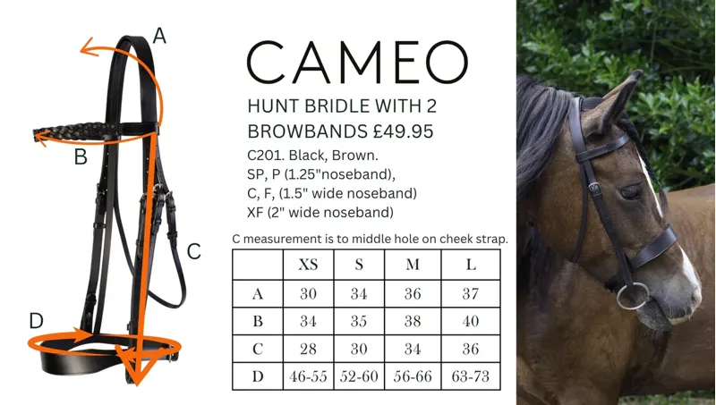 Cameo Classic Hunt Bridle 2 Browbands Brown