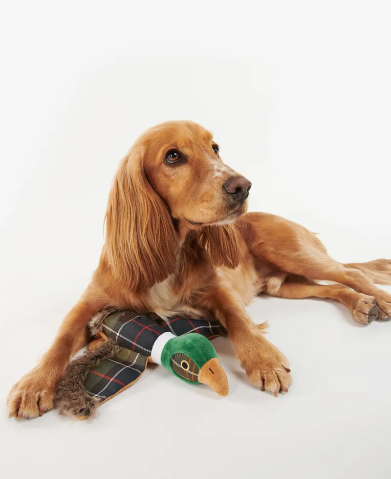 Barbour Pheasant Dog Toy-1