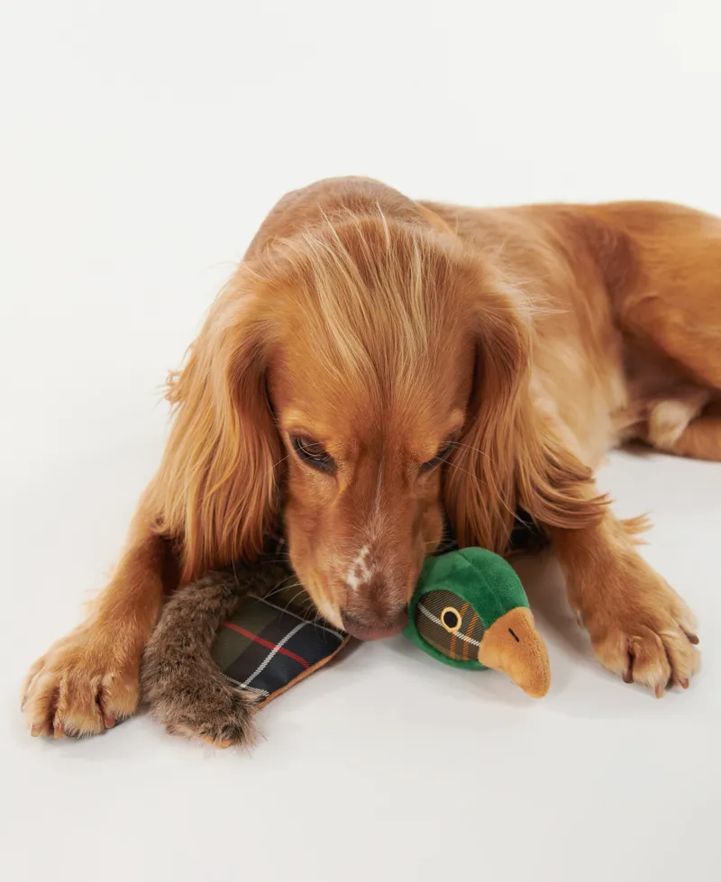 Barbour Pheasant Dog Toy-2