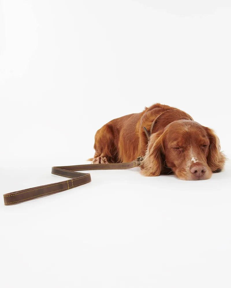 Barbour Leather Dog Lead Brown-3