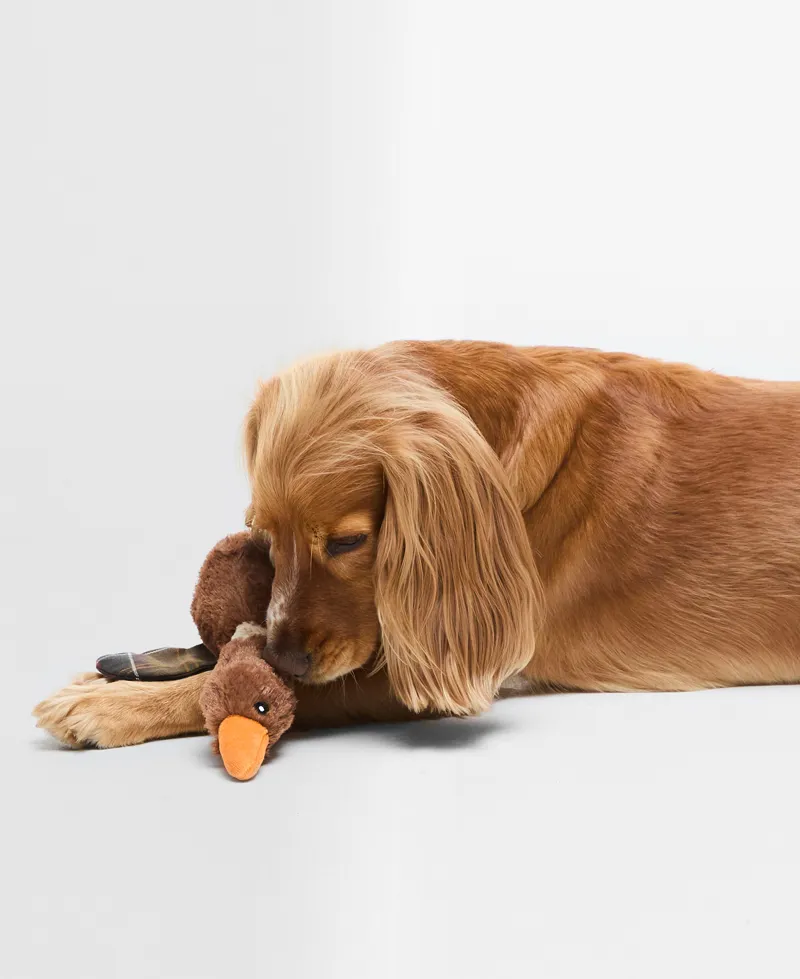 Barbour Fly Duck Dog Toy-1