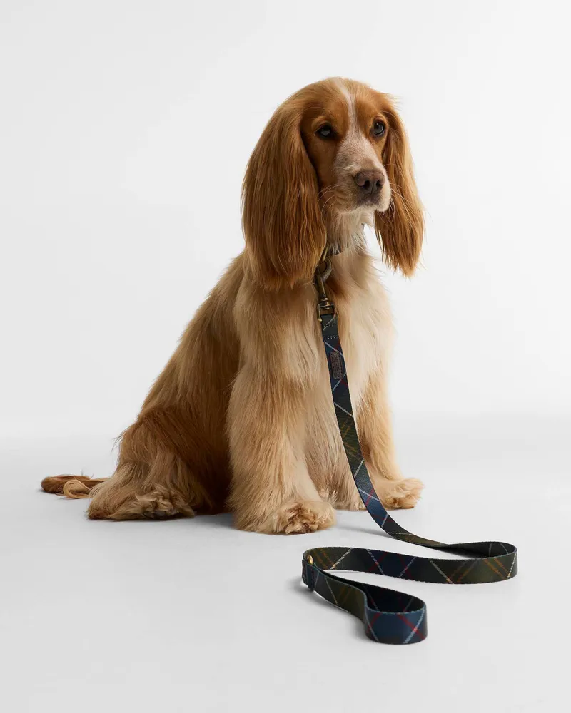 Barbour Tartan Printed Dog Lead Classic Tartan-3