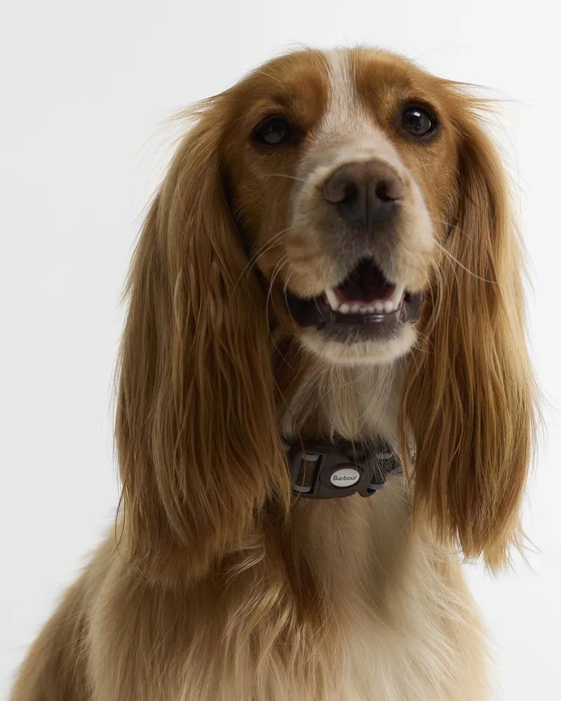 Barbour Reflective Tartan Dog Collar Classic Tartan