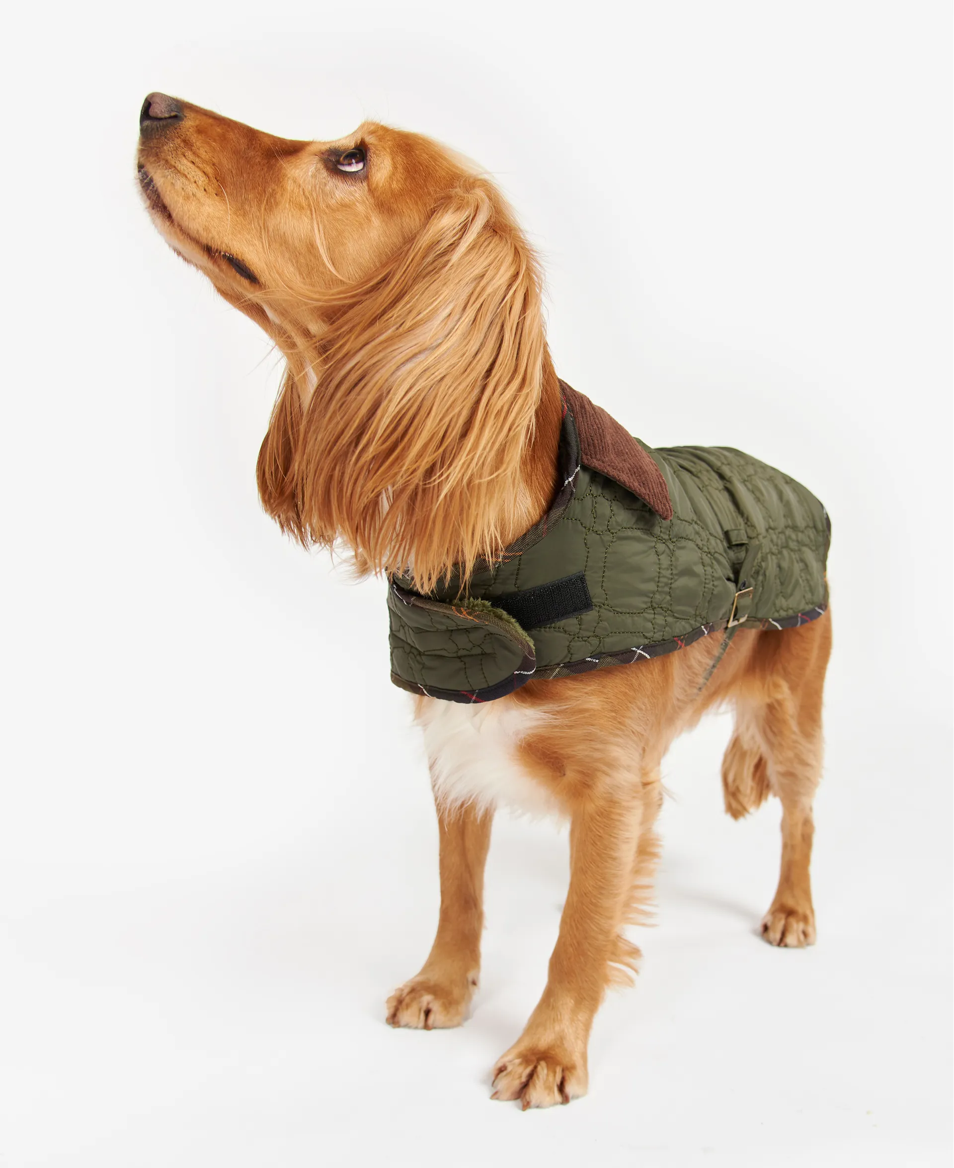 Dog Grooming Barbour Quilted Dog Coat Barbour Paw-Quilted Dog Coat