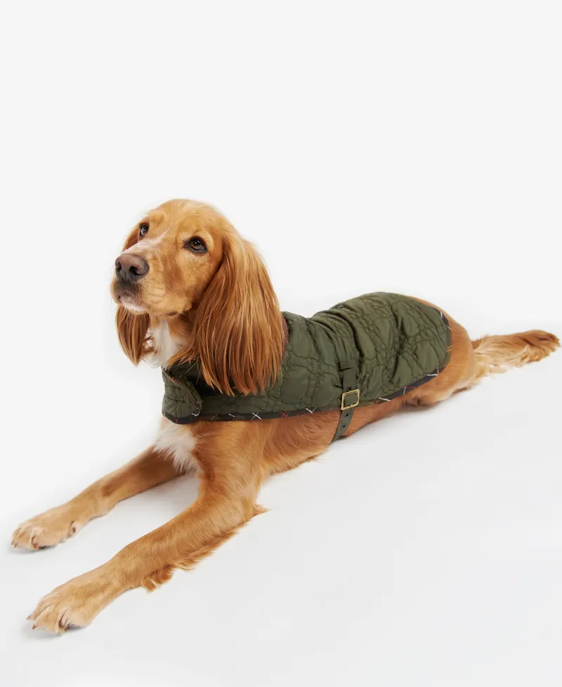 Barbour Dog Bone Quilted Dog Coat Dark Olive-4