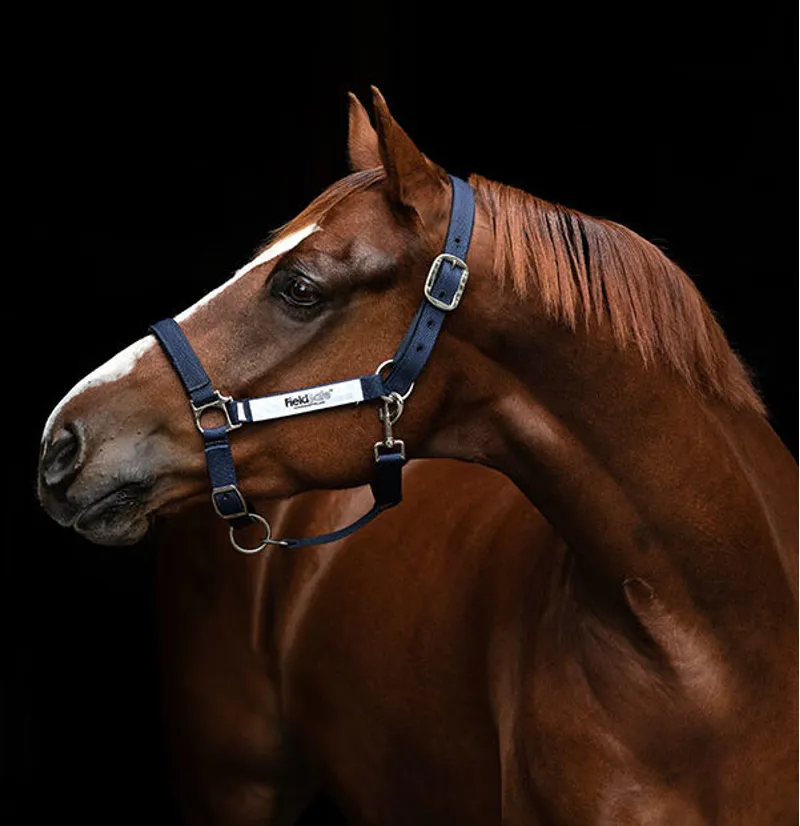 Horseware Field Safe Headcollar Navy