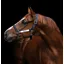 Horseware Field Safe Headcollar Navy