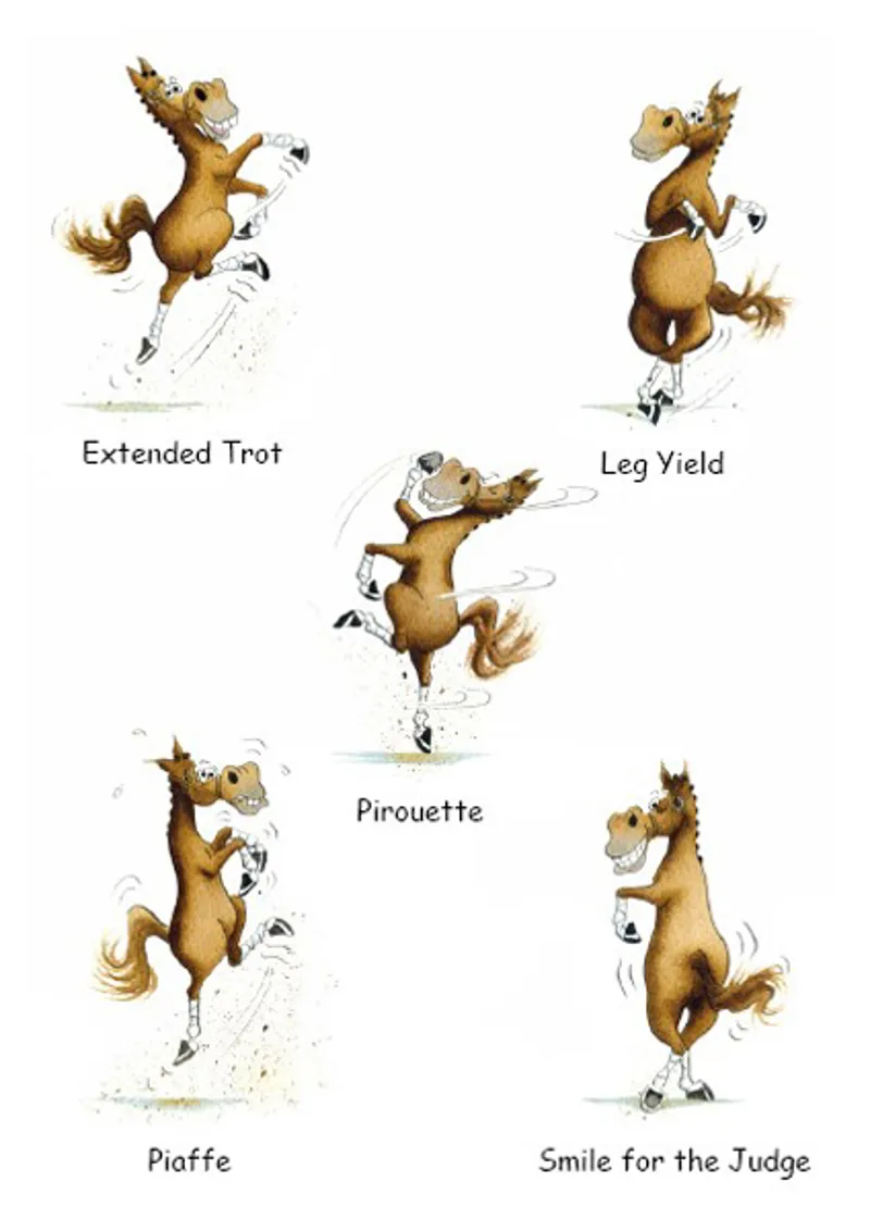 Trish Williams Card Dressage