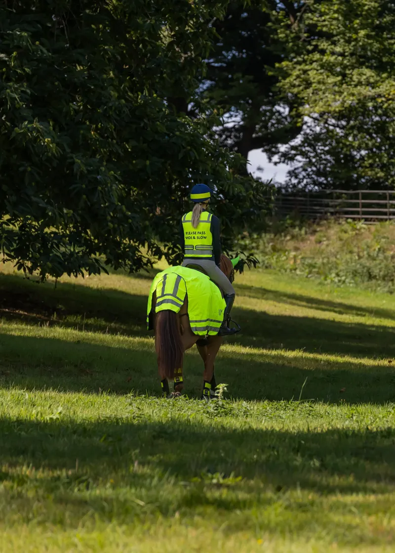 Woof Wear Hi Viz Exercise Sheet Yellow-1