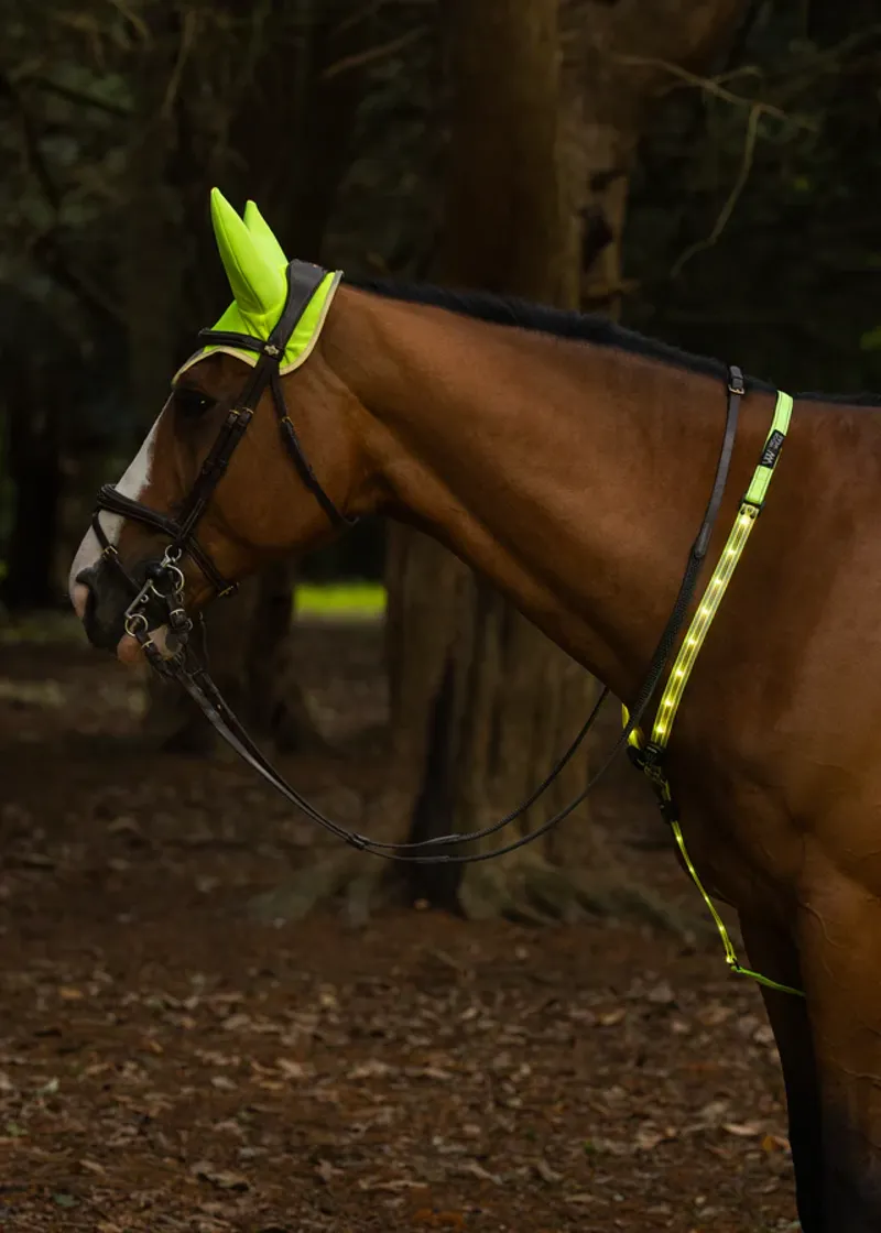 Woof Wear Hi-Viz Noise Cancelling Fly Veil Yellow-3