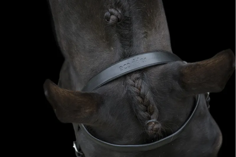 EcoRider Classic Show Bridle Brown-3