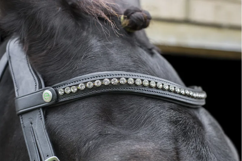 EcoRider Freedom Dipped Crystal Browband Black-1