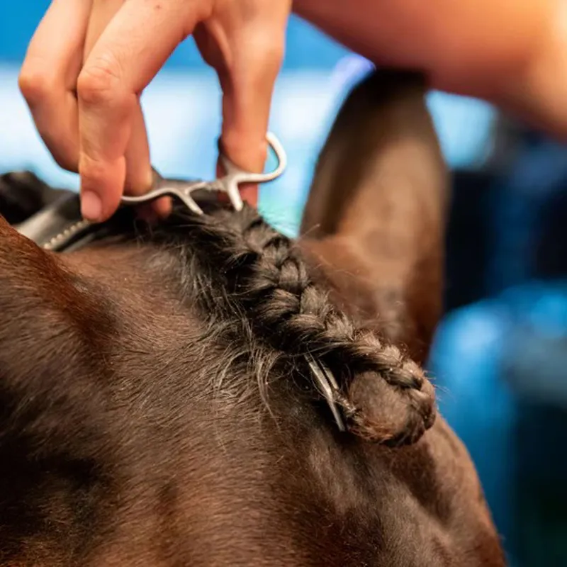 Smart Grooming Forelock Plaiting Grippers