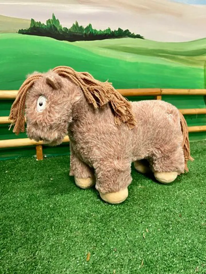 Crafty Ponies Foal Strawberry Roan