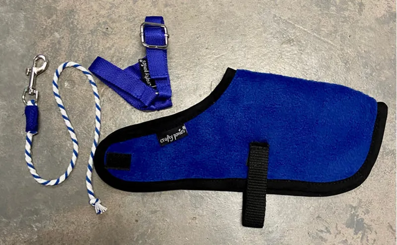 Crafty Ponies Foal Rug Set Blue