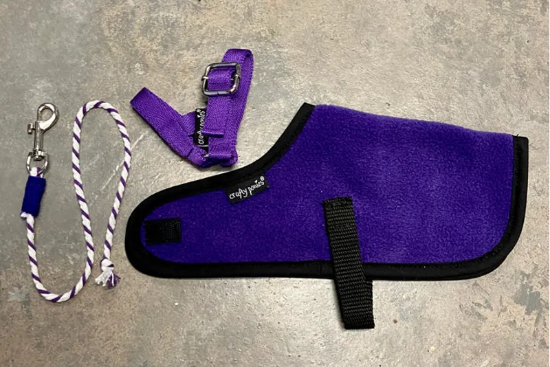 Crafty Ponies Foal Rug Set Purple