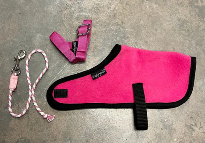 Crafty Ponies Foal Rug Set Pink