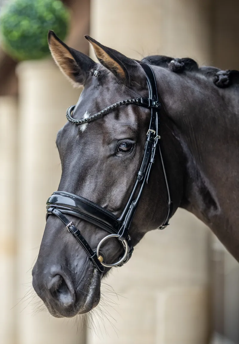 LeMieux Kudos Patent Dressage Bridle Black