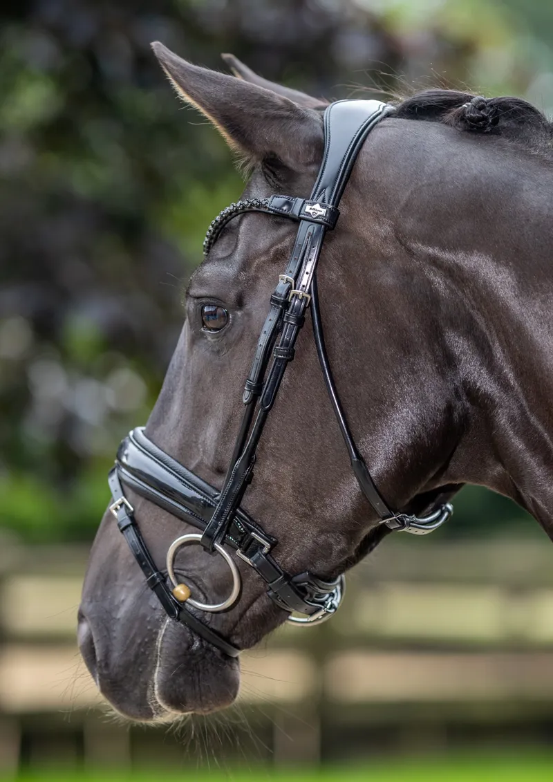 LeMieux Kudos Patent Dressage Bridle Black-1