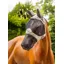 LeMieux Visor-Tek Full Fly Mask Fern