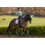 LeMieux Suede Dressage Square Glacier