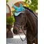 LeMieux Classic Fly Hood Lagoon