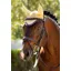 LeMieux Classic Fly Hood Mimosa