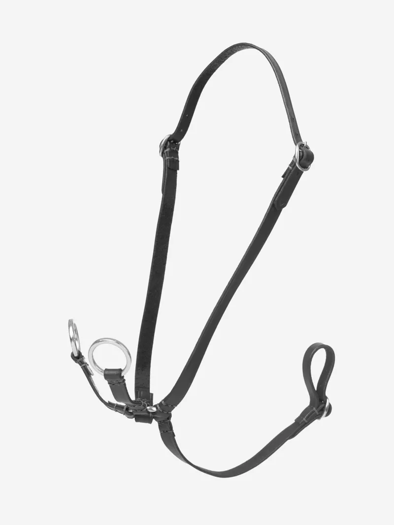 LeMieux Hobby Horse Running Martingale Black