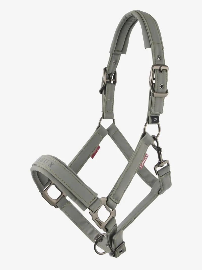 LeMieux Finesse/Essence Headcollar Rosemary-1