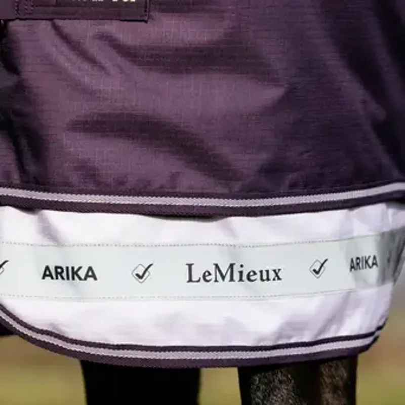 LeMieux Arika Ripstop 200g Medium Weight Turnout Rug Juniper-4