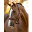 LeMieux Essence Headcollar Damson